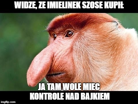 Big Nose Monkey | WIDZE, ZE IMIELINEK SZOSE KUPIŁ; JA TAM WOLE MIEC KONTROLE NAD BAJKIEM | image tagged in big nose monkey | made w/ Imgflip meme maker