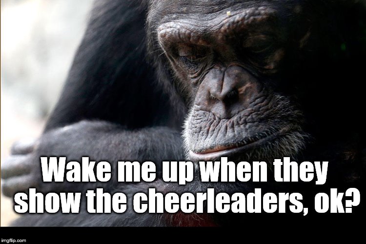 Koko | Wake me up when they show the cheerleaders, ok? | image tagged in koko | made w/ Imgflip meme maker