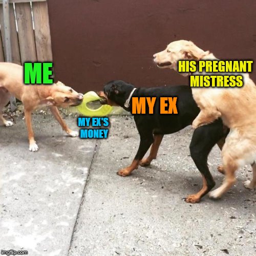 This Is My Life | HIS PREGNANT MISTRESS; ME; MY EX; MY EX'S MONEY | image tagged in this is my life,memes,ex-husband,mistress | made w/ Imgflip meme maker