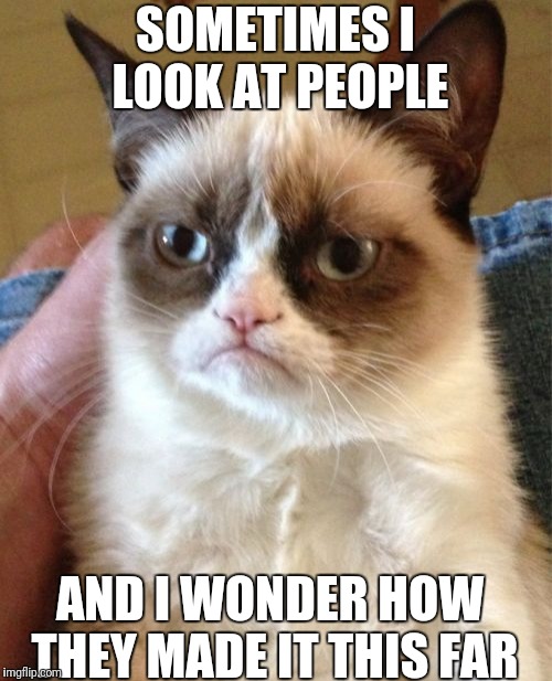 Grumpy Cat Meme | SOMETIMES I LOOK AT PEOPLE; AND I WONDER HOW THEY MADE IT THIS FAR | image tagged in memes,grumpy cat | made w/ Imgflip meme maker