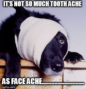 dentist dog | IT'S NOT SO MUCH TOOTH ACHE; AS FACE ACHE.............................. | image tagged in dentist dog | made w/ Imgflip meme maker
