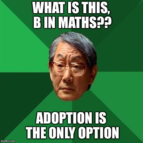 High Expectations Asian Father Meme | WHAT IS THIS, B IN MATHS?? ADOPTION IS THE ONLY OPTION | image tagged in memes,high expectations asian father | made w/ Imgflip meme maker
