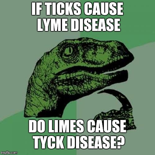 Philosoraptor | IF TICKS CAUSE LYME DISEASE; DO LIMES CAUSE TYCK DISEASE? | image tagged in memes,philosoraptor | made w/ Imgflip meme maker