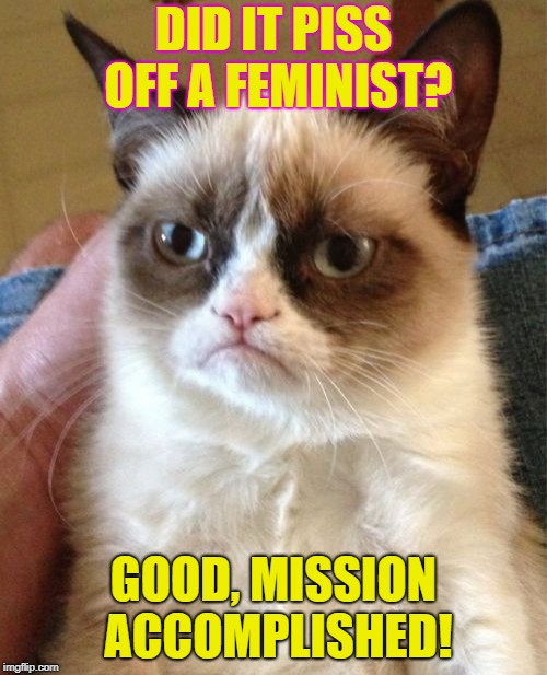 Grumpy Cat Meme | DID IT PISS OFF A FEMINIST? GOOD, MISSION ACCOMPLISHED! | image tagged in memes,grumpy cat,nsfw | made w/ Imgflip meme maker