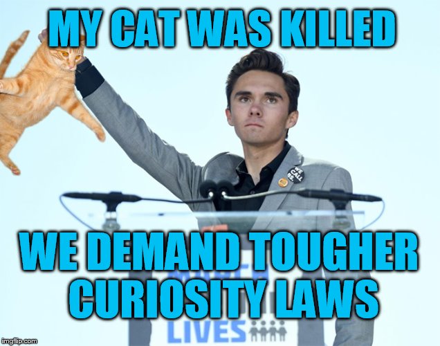 inspired by Chuck Norris cat meme | MY CAT WAS KILLED; WE DEMAND TOUGHER CURIOSITY LAWS | image tagged in david hogg | made w/ Imgflip meme maker