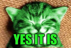 happy RayCat | YES IT IS | image tagged in happy raycat | made w/ Imgflip meme maker