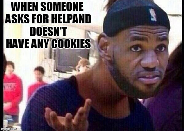 You need help bruh? | WHEN SOMEONE ASKS FOR HELPAND DOESN'T HAVE ANY COOKIES | image tagged in you need help bruh | made w/ Imgflip meme maker