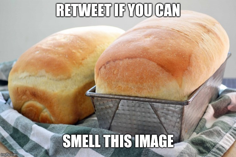 Retweet if you can smell this image | RETWEET IF YOU CAN; SMELL THIS IMAGE | image tagged in smell,image,bread | made w/ Imgflip meme maker
