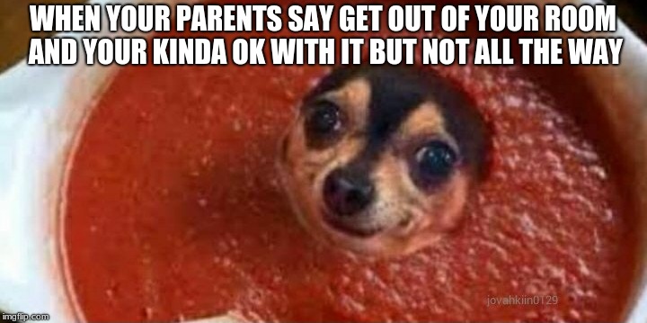 Me tho | WHEN YOUR PARENTS SAY GET OUT OF YOUR ROOM AND YOUR KINDA OK WITH IT BUT NOT ALL THE WAY | image tagged in introvert,memes,funny | made w/ Imgflip meme maker