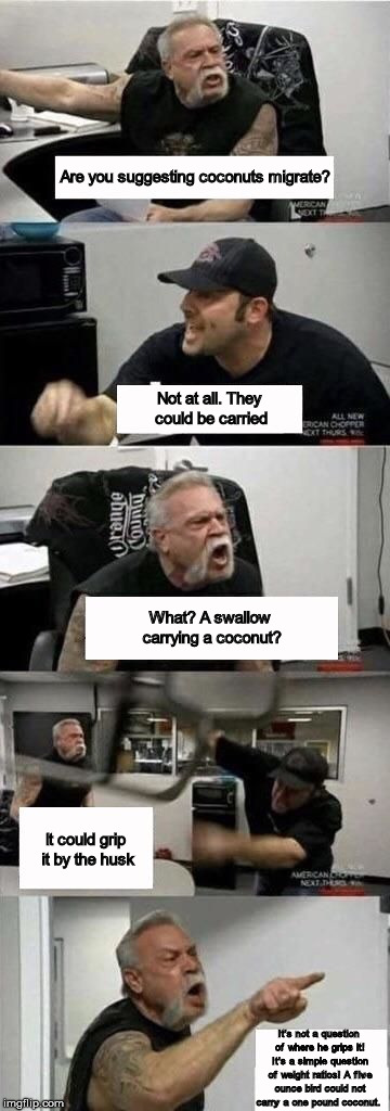 American Chopper Argument Meme | Are you suggesting coconuts migrate? Not at all. They could be carried; What? A swallow carrying a coconut? It could grip it by the husk; It's not a question of where he grips it! It's a simple question of weight ratios! A five ounce bird could not carry a one pound coconut. | image tagged in american chopper argument | made w/ Imgflip meme maker