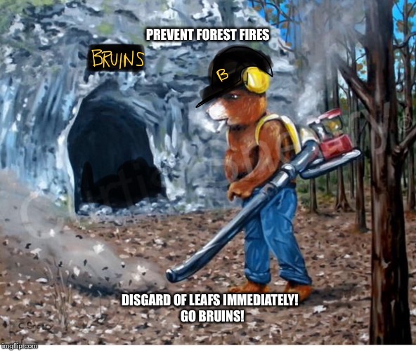 Go bruins | PREVENT FOREST FIRES; DISGARD OF LEAFS IMMEDIATELY! 
GO BRUINS! | image tagged in boston bruins,go bruins | made w/ Imgflip meme maker