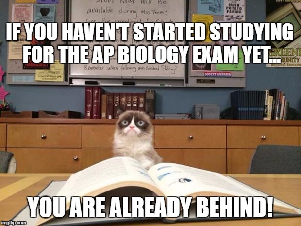 Grumpy cat studying | IF YOU HAVEN'T STARTED STUDYING FOR THE AP BIOLOGY EXAM YET... YOU ARE ALREADY BEHIND! | image tagged in grumpy cat studying | made w/ Imgflip meme maker