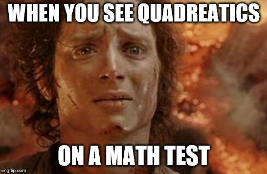 Frodo in Mt Doom | WHEN YOU SEE QUADREATICS; ON A MATH TEST | image tagged in frodo in mt doom | made w/ Imgflip meme maker
