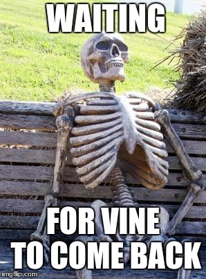 Waiting Skeleton Meme | WAITING; FOR VINE TO COME BACK | image tagged in memes,waiting skeleton | made w/ Imgflip meme maker