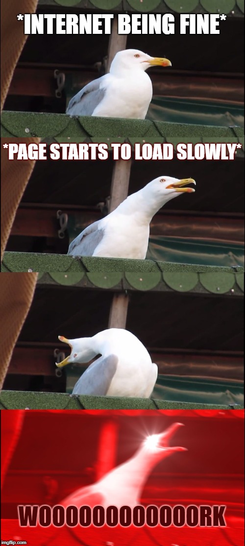Inhaling Seagull Meme | *INTERNET BEING FINE*; *PAGE STARTS TO LOAD SLOWLY*; WOOOOOOOOOOOORK | image tagged in memes,inhaling seagull | made w/ Imgflip meme maker