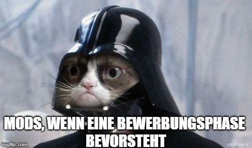 Grumpy Cat Star Wars Meme | MODS, WENN EINE BEWERBUNGSPHASE BEVORSTEHT | image tagged in memes,grumpy cat star wars,grumpy cat | made w/ Imgflip meme maker