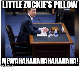 Zuckie's Pillow. | LITTLE ZUCKIE'S PILLOW; MEWAHAHAHAHAHAHAHAHA! | image tagged in zuckie's pillow,mark zuckerberg,facebook,facebook liberals,liberal retards | made w/ Imgflip meme maker