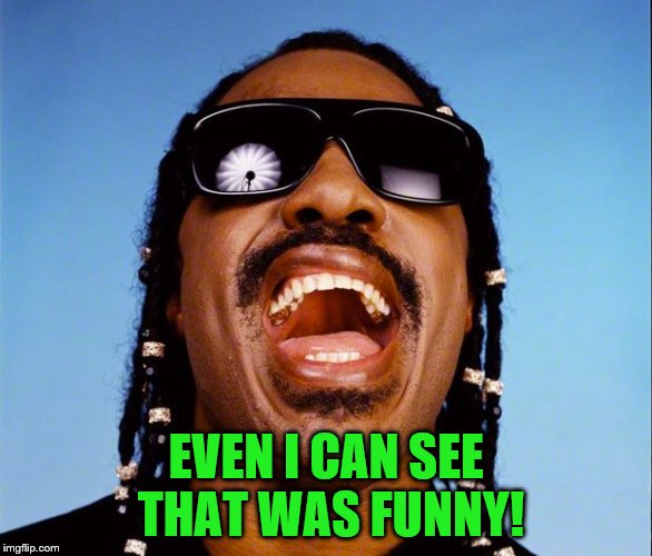 EVEN I CAN SEE THAT WAS FUNNY! | made w/ Imgflip meme maker