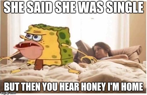 spongegar bed | SHE SAID SHE WAS SINGLE; BUT THEN YOU HEAR HONEY I'M HOME | image tagged in spongegar bed | made w/ Imgflip meme maker