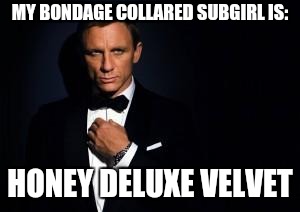 james bond | MY BONDAGE COLLARED SUBGIRL IS:; HONEY DELUXE VELVET | image tagged in james bond | made w/ Imgflip meme maker