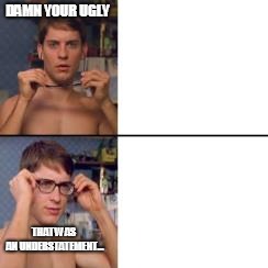 Peter Parker Glasses | DAMN YOUR UGLY; THAT WAS AN UNDERSTATEMENT... | image tagged in peter parker glasses | made w/ Imgflip meme maker