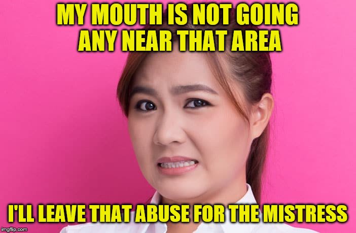 MY MOUTH IS NOT GOING ANY NEAR THAT AREA I'LL LEAVE THAT ABUSE FOR THE MISTRESS | made w/ Imgflip meme maker