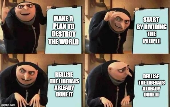 Gru's Plan Meme | MAKE A PLAN TO DESTROY THE WORLD; START BY DIVIDING THE PEOPLE; REALISE THE LIBERALS ARLEADY DONE IT; REALISE THE LIBERALS ALREADY DONE IT | image tagged in gru's plan | made w/ Imgflip meme maker
