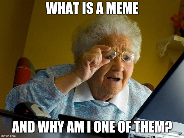 Grandma Finds The Internet | WHAT IS A MEME; AND WHY AM I ONE OF THEM? | image tagged in memes,grandma finds the internet | made w/ Imgflip meme maker