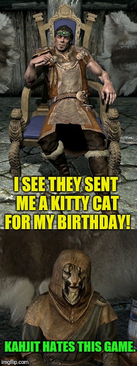 Awww, nice kitty  | I SEE THEY SENT ME A KITTY CAT FOR MY BIRTHDAY! KAHJIT HATES THIS GAME. | image tagged in skyrim | made w/ Imgflip meme maker