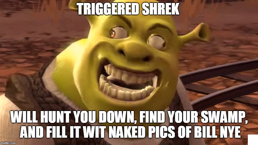 Shrek | TRIGGERED SHREK; WILL HUNT YOU DOWN, FIND YOUR SWAMP, AND FILL IT WIT NAKED PICS OF BILL NYE | image tagged in shrek | made w/ Imgflip meme maker