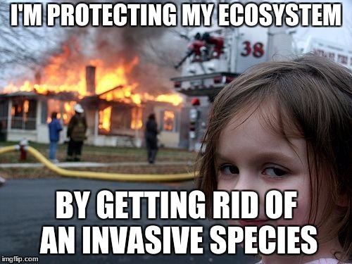 Disaster Girl Meme | I'M PROTECTING MY ECOSYSTEM; BY GETTING RID OF AN INVASIVE SPECIES | image tagged in memes,disaster girl | made w/ Imgflip meme maker