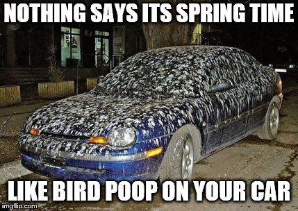 Spring is around the corner | NOTHING SAYS ITS SPRING TIME; LIKE BIRD POOP ON YOUR CAR | image tagged in spring,birds,poop | made w/ Imgflip meme maker