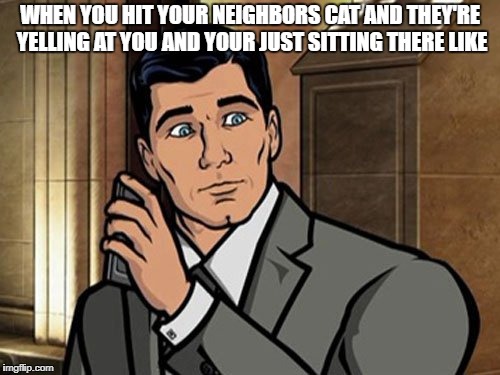 Um... Phrasing? | WHEN YOU HIT YOUR NEIGHBORS CAT AND THEY'RE YELLING AT YOU AND YOUR JUST SITTING THERE LIKE | image tagged in um phrasing | made w/ Imgflip meme maker