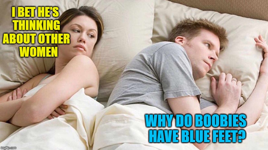 I Bet He's Thinking About Other Women |  I BET HE'S THINKING ABOUT OTHER   WOMEN; WHY DO BOOBIES HAVE BLUE FEET? | image tagged in i bet he's thinking about other women,memes,blue footed boobies | made w/ Imgflip meme maker