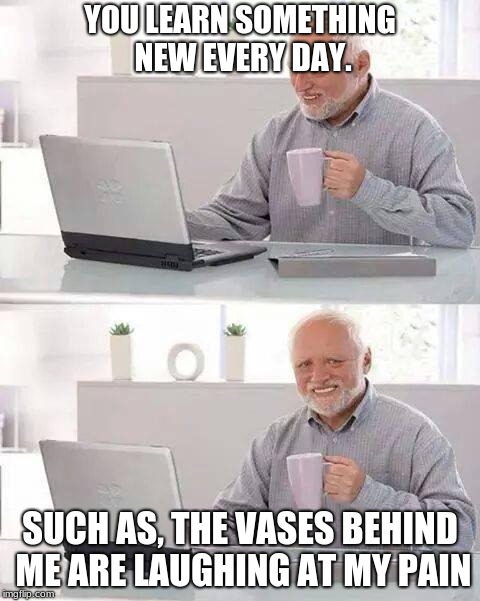 Hide the pain (or laugh at it) Harold | YOU LEARN SOMETHING NEW EVERY DAY. SUCH AS, THE VASES BEHIND ME ARE LAUGHING AT MY PAIN | image tagged in memes,hide the pain harold,lamo,dashops,raydog | made w/ Imgflip meme maker