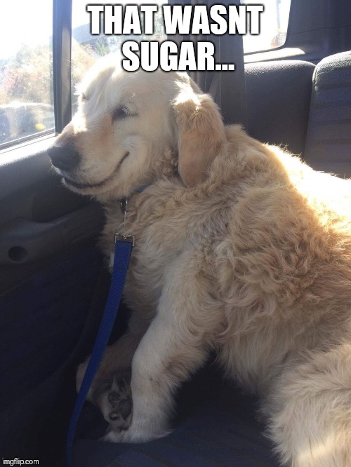 happy high dog | THAT WASNT SUGAR... | image tagged in happy high dog | made w/ Imgflip meme maker