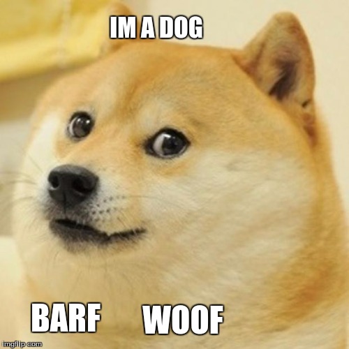 Doge Meme | IM A DOG; BARF; WOOF | image tagged in memes,doge | made w/ Imgflip meme maker