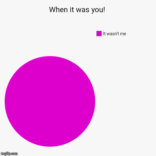 When it was you! | It wasn't me | image tagged in funny,pie charts | made w/ Imgflip chart maker