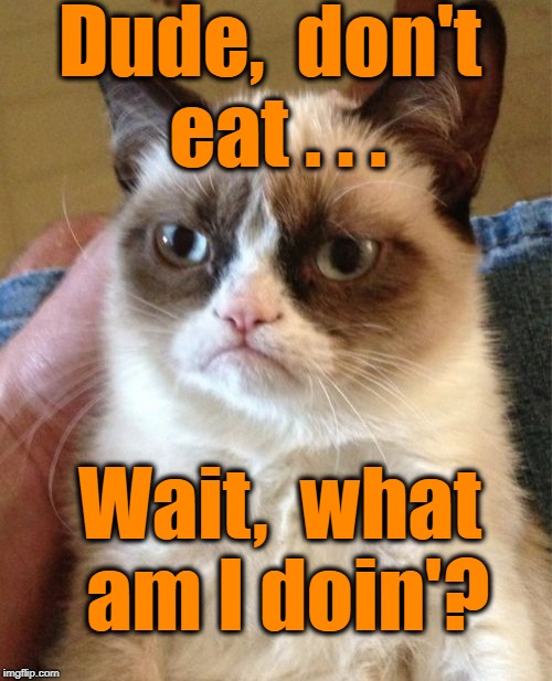 Grumpy Cat Meme | Dude,  don't eat . . . Wait,  what am I doin'? | image tagged in memes,grumpy cat | made w/ Imgflip meme maker