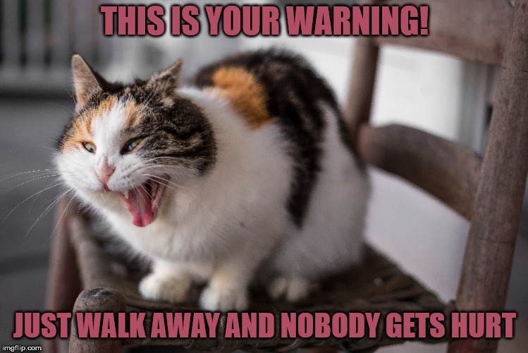 THIS IS YOUR WARNING! JUST WALK AWAY AND NOBODY GETS HURT | made w/ Imgflip meme maker