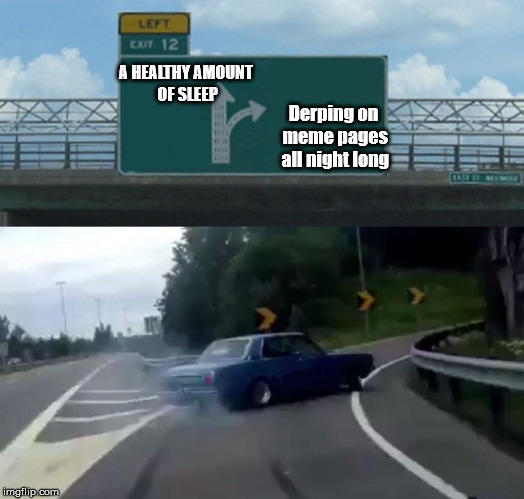 Left Exit 12 Off Ramp Meme | Derping on meme pages all night long; A HEALTHY AMOUNT OF SLEEP | image tagged in memes,left exit 12 off ramp | made w/ Imgflip meme maker
