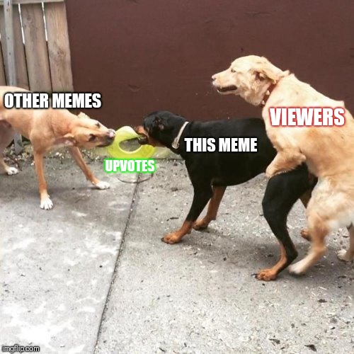 This Is My Life | OTHER MEMES; VIEWERS; THIS MEME; UPVOTES | image tagged in this is my life | made w/ Imgflip meme maker