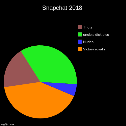 Snapchat 2018 | Victory royal's, Nudes, uncle's dick pics, Thots | image tagged in funny,pie charts | made w/ Imgflip chart maker