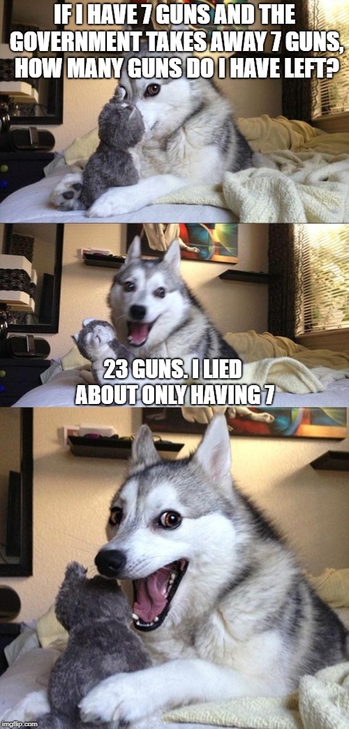 Bad Joke Dog | IF I HAVE 7 GUNS AND THE GOVERNMENT TAKES AWAY 7 GUNS, HOW MANY GUNS DO I HAVE LEFT? 23 GUNS. I LIED ABOUT ONLY HAVING 7 | image tagged in bad joke dog | made w/ Imgflip meme maker