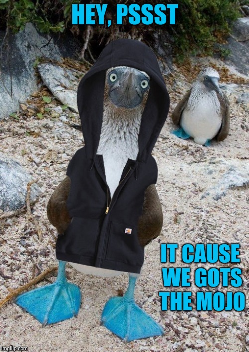 HEY, PSSST IT CAUSE WE GOTS THE MOJO | made w/ Imgflip meme maker