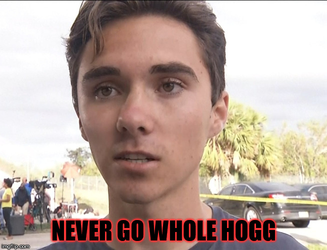 full retard | NEVER GO WHOLE HOGG | image tagged in hogg,nra | made w/ Imgflip meme maker