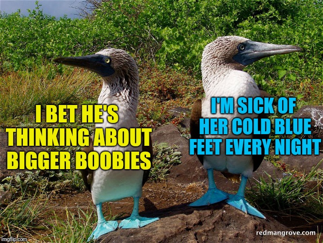 I BET HE'S THINKING ABOUT BIGGER BOOBIES I'M SICK OF HER COLD BLUE FEET EVERY NIGHT | made w/ Imgflip meme maker
