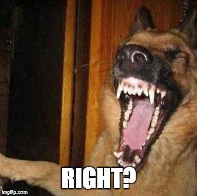 Laughing Dog | RIGHT? | image tagged in laughing dog | made w/ Imgflip meme maker