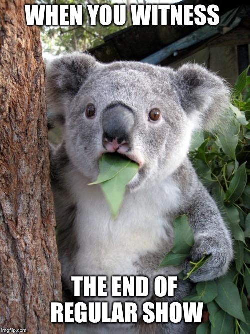Surprised Koala Meme | WHEN YOU WITNESS; THE END OF REGULAR SHOW | image tagged in memes,surprised koala | made w/ Imgflip meme maker