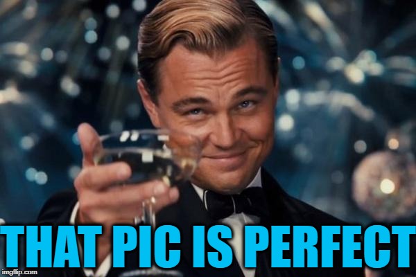Leonardo Dicaprio Cheers Meme | THAT PIC IS PERFECT | image tagged in memes,leonardo dicaprio cheers | made w/ Imgflip meme maker
